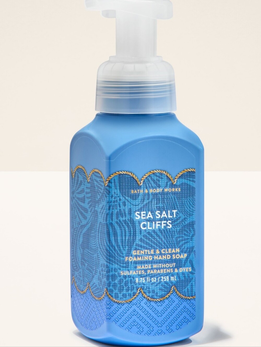 Bath & Body Works Sea Salt Cliffs Gentle Foaming Hand Soap 8oz NEW